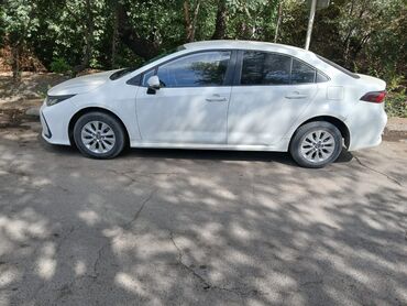 машине арзан: Toyota Corolla: 2020 г., Бензин, Седан