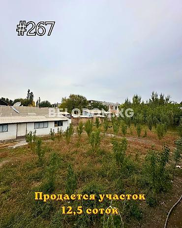 село ленинскии участок: 12 соток — 1
