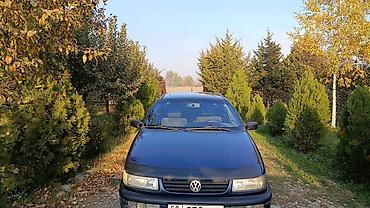 пасад б4: Volkswagen Passat: 1994 г., Механика, Бензин, Седан — 3