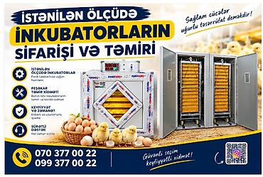 inkubator cuce cixardan: Inkubator inqubator İstənilən ölçüde yığıram tam avtomat qiyməti — 1