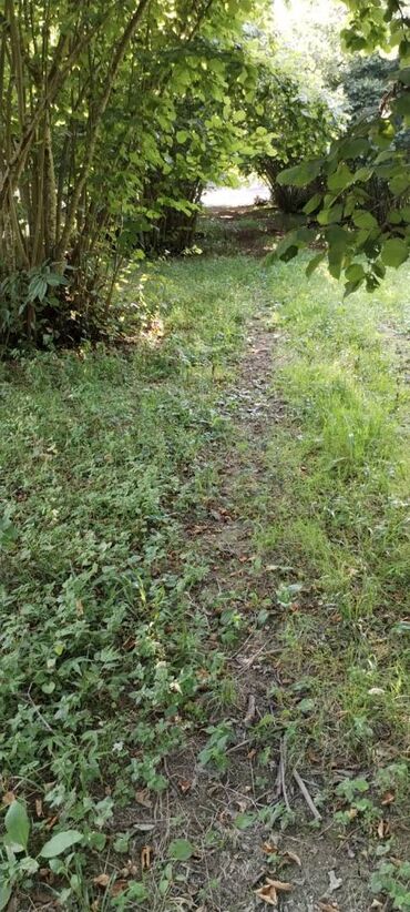 Torpaq sahələrinin satışı: 54 sot, Kənd təsərrüfatı, Kupça (Çıxarış) — 3