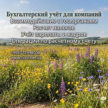 Бухгалтерские услуги | Подготовка налоговой отчетности, Сдача налоговой отчетности, Консультация