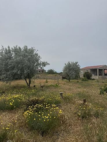 Torpaq sahələrinin satışı: 6 sot, Tikinti, Kupça (Çıxarış) — 5