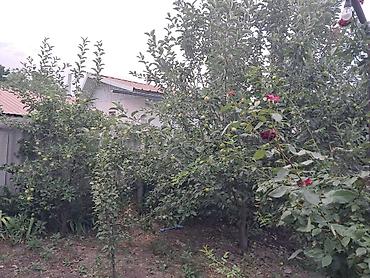 профсоюз: Срочно продам пол дома 80кв.м участок 4 сотки( срочная продажа в связи — 2