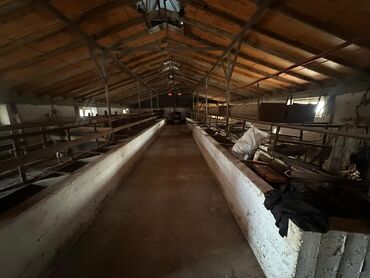 Продажа домов: Времянка, 400 м², 2 комнаты, Собственник — 4