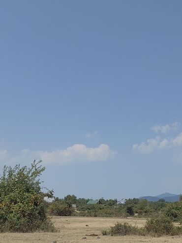 Mənzillər: 25 sot, Biznes üçün, Barter mümkündür, Kupça (Çıxarış)