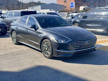 Hyundai: Hyundai Sonata: 2019 г., 2 л, Автомат, Гибрид, Седан — 1