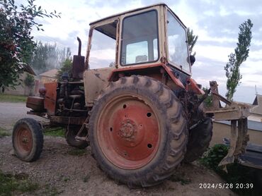 трактор беларус 82 1: Тракторы