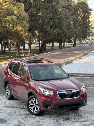 Subaru: Subaru Forester: 2019 г., 2.5 л, Вариатор, Бензин, Кроссовер