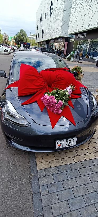 Организация мероприятий: Организация мероприятий | Гелевые шары, Ведущий, тамада, Аниматоры — 17