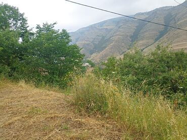 Bağ evlərinin satışı: Yardımlı, 120 kv. m, 4 otaqlı, Hovuzsuz, Qaz, İşıq -da lalafo.az — 8 Bağ evlərinin satışı: Yardımlı, 120 kv. m, 4 otaqlı, Hovuzsuz, Qaz, İşıq — 8