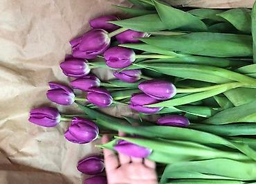 Букеты из живых цветов: Тюльпаны оптом ! — 7