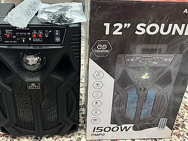 car audio: Портативная акустическая система 12" SOUND, модель ALP-1202. Мощная — 2