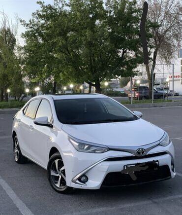 Легковой транспорт: Сдаю в аренду: Легковое авто