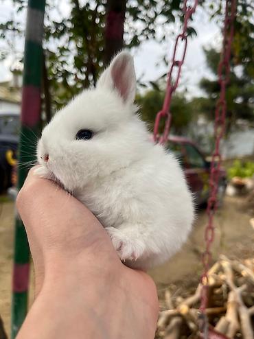 berde mal bazari: Salam🖐🏻. 🎁 ad günlerinde bayram ve xüsusi günlerde hediyye seçiminde — 6
