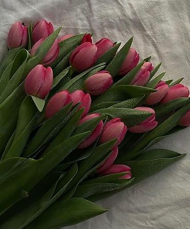 Организация мероприятий: Открываем бронирование 2026 г.Тюльпаны оптом самые яркие,сочные цвета — 9