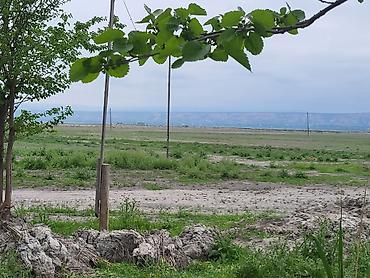 Torpaq sahələrinin satışı: 26000 sot, Kənd təsərrüfatı, Kupça (Çıxarış) — 3