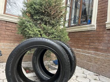 шына диска: Шины 255 / 50 / R 19, Лето, Б/у, Пара, Внедорожные (АТ/МТ), Michelin