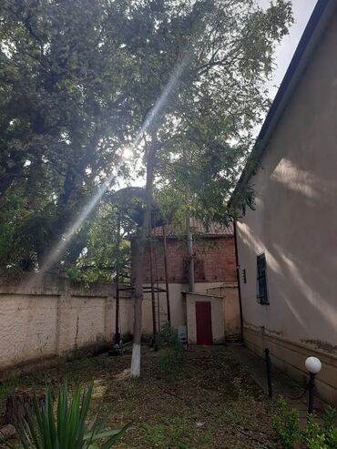 Bağ evlərinin satışı: Nabran, 200 kv. m, 6 otaqlı, Hovuzlu, Artezian quyusu, Kombi, Kanalizasiya -da lalafo.az — 2 Bağ evlərinin satışı: Nabran, 200 kv. m, 6 otaqlı, Hovuzlu, Artezian quyusu, Kombi, Kanalizasiya — 2