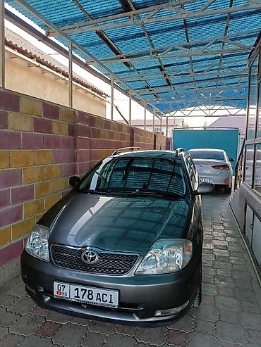 окончательно: Toyota Corolla: 2002 г., 1.6 л, Механика, Бензин, Универсал — 2