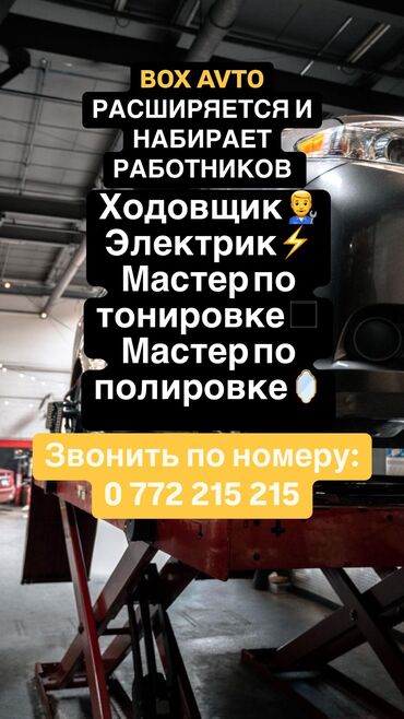 мойщик автомобилей: Требуется Автомеханик Процент от дохода, Менее года опыта