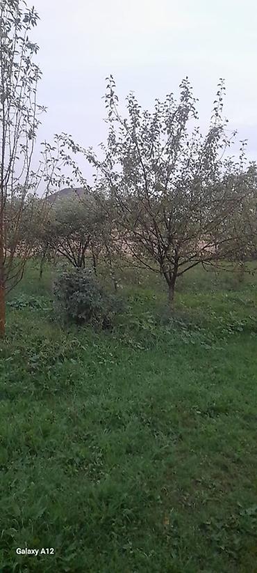 qubada torpaq sahesi satilir: 6 sot, Tikinti, Mülkiyyətçi, Kupça (Çıxarış) — 3
