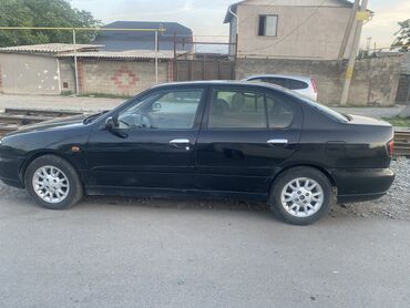 nissan cabstar: Nissan Primera: 2000 г., 2 л, Механика, Газ, Хэтчбэк