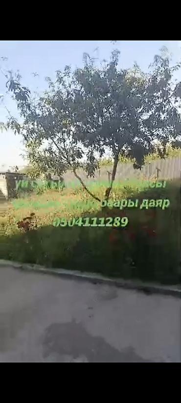 дачи сары жон: Номер берсенер видео жонотом — 8