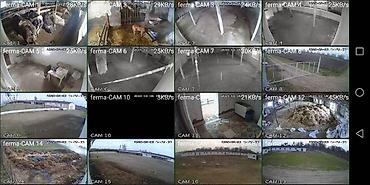 Kommersiya daşınmaz əmlakının satışı: 🔹 Satılır: Ferma – Xudat, Ləcət kəndi 🔹 ✅ Unikal fürsət! Xudat-Yalama — 16