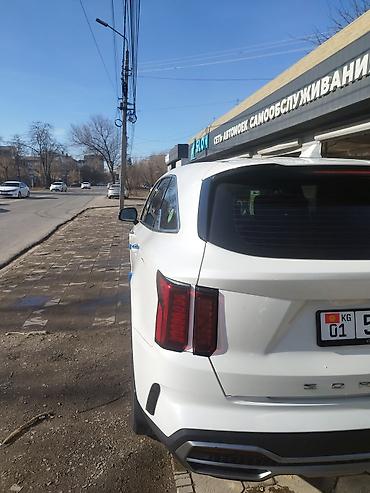 Kia: Kia Sorento: 2020 г., 2.2 л, Автомат, Дизель, Внедорожник — 5