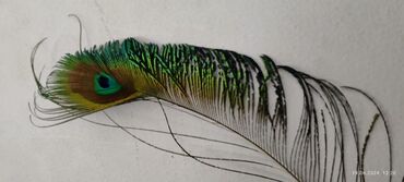 Декор для дома и сада: Декор для дома и сада at lalafo.kg — 3 Декор для дома и сада: Декор для дома и сада — 3