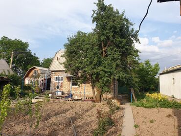 продаю дом дордой 1: Дача, 45 м², 3 комнаты, Собственник, Евроремонт
