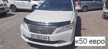 Ветровики и мухобойки: Toyota, Новый — 18