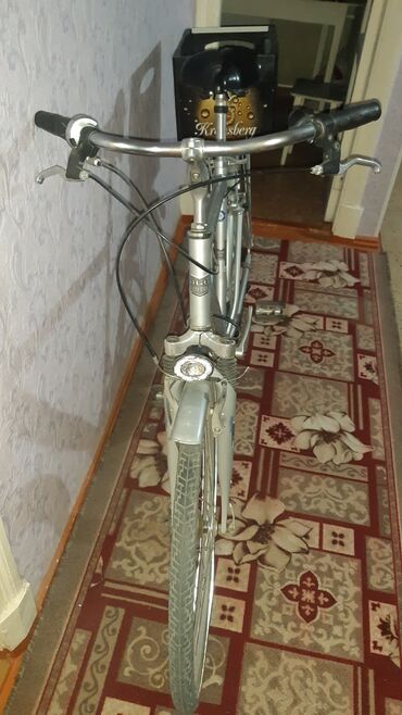 продаю чехол: Городской велосипед, Другой бренд, Рама XS (130 -155 см), Сталь, Германия, Б/у