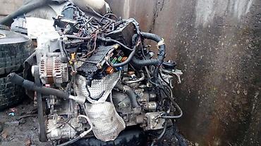 turbo az ceşqa 1 8: Universal auto NİSSAN, 2.5 l, Dizel, 2016 il, İşlənmiş — 5