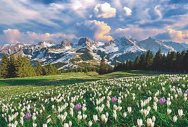 Фотообои: 🖼️ Фотообои ✨ 4000+ дизайнов: горы, пейзажи, арт, национальные. 📏 — 13