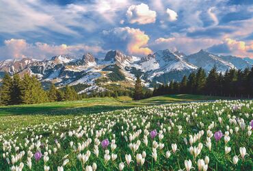 Фотообои: 🎁 АКЦИЯ! Клей в подарок! 🎁 При заказе фотообоев от 5 м² вы получаете — 7