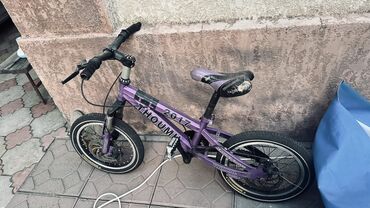 чехлы на пассат: Детский велосипед, 2-колесный, 4 - 6 лет, Для девочки, Б/у