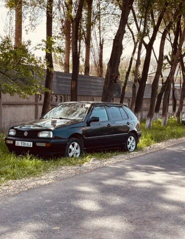 форсунка соната: Volkswagen Golf: 1992 г., 1.8 л, Механика, Бензин, Хэтчбэк