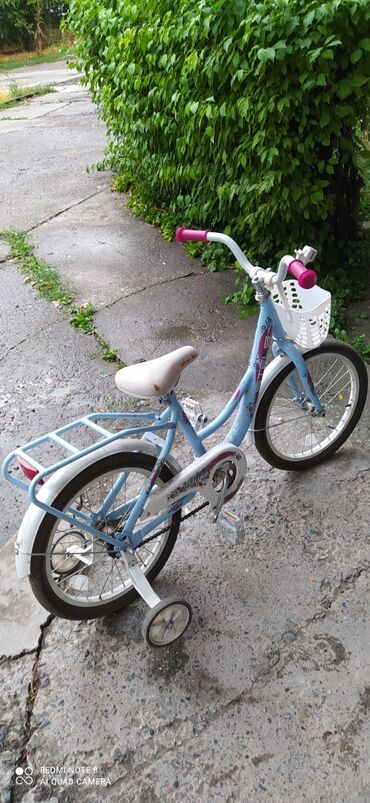 ленинское: Детский велосипед, 2-колесный, Stels, 4 - 6 лет, Для девочки, Б/у