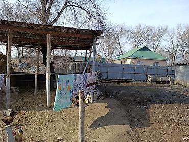 Продажа коттеджей и домов: Продаётся дом село Васильевка улица Комсомольская 221 на участке 18 — 3