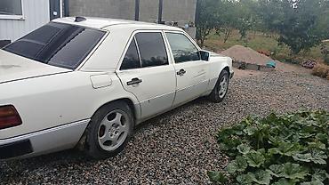 радиатор охлаждения ауди 80 б4: Mercedes-Benz E-Class: 1990 г., Механика, Седан — 2