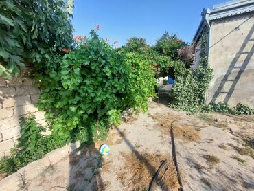 Həyət evləri və villaların satışı: Binə 4 otaqlı, 220 kv. m, Kredit yoxdur, Yeni təmirli -da lalafo.az — 4 Həyət evləri və villaların satışı: Binə 4 otaqlı, 220 kv. m, Kredit yoxdur, Yeni təmirli — 4