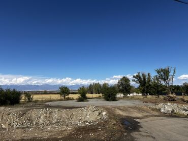 срочно продаю дом в военно антоновка: 15 соток, Бизнес үчүн, Кызыл китеп