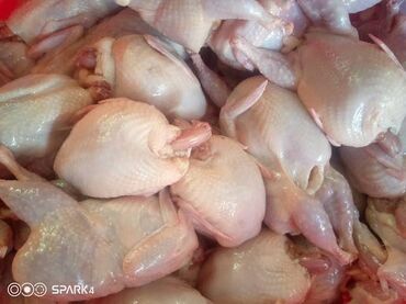 продаю куриц: Покупаю перепелиное мясо, рассчет наличным, только с документами