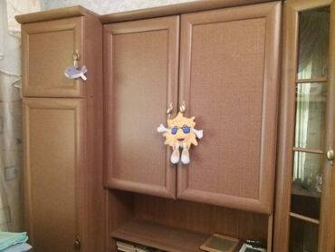 Шкафы для одежды: Шкаф для одежды, Б/у, Прямой, Дерево — 4