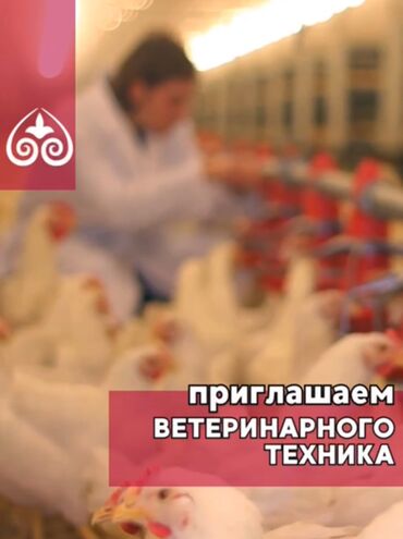 ахранага жумуш издейм: Наша компания растёт и набирает сильных специалистов. Сейчас нам нужен