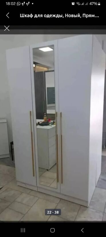 Шкафы для одежды: Шкаф для одежды, Прямой, ЛДСП — 3