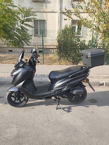 дордой мото: Срочно сатылуу шлем. Кофра. gps отслеживатель кошо берилет на — 5