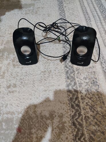 портативные колонки philips: Звуковые колонки Genius